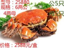 蘇州食品飲料產業全解析 價格、圖片、批發、廠家與餐飲管理